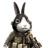 Profilbild von カリカリ
