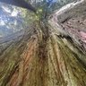 curiosity 的头像