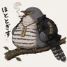 鳴かぬホトトギス profil fotoğrafı