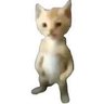 pequeño zamudio's profile picture