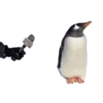 a_kai202's profile picture
