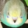 Profilbild von éã¡ãã