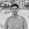 Фото профиля Ameer Talha