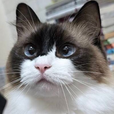 hirahira22222's profile picture