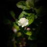 Фото профиля alogrithmblues