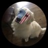 Chiefjimmy45 profil fotoğrafı