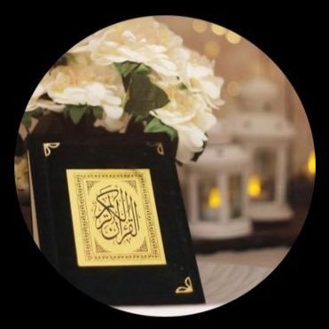 shhd27816702's profile picture