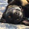 Profilbild von J