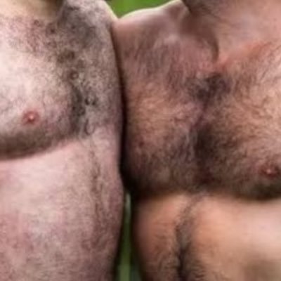 Cub_and_Bear's profile picture