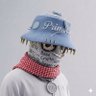 PrimeRaz profil fotoğrafı
