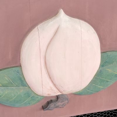 vv2zx's profile picture