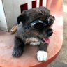 りるむ's profile picture