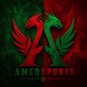 Amedsports 的头像