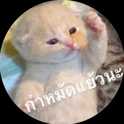 _02CLEAR's profile picture