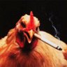 ImJTrav’sBurner profil fotoğrafı