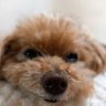 こった🤗's profile picture
