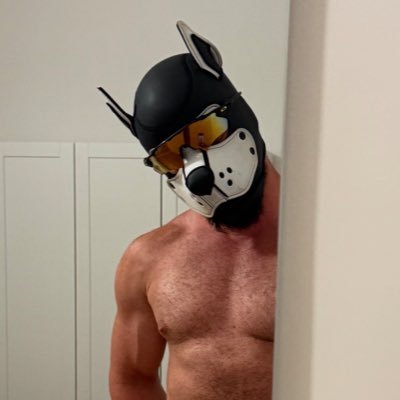 gearwyrm's profile picture