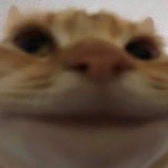 I_likemovies's profile picture