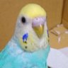 なるみん 的头像