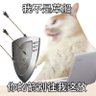 Ivanbb111 的头像