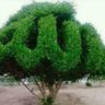 Фото профиля جودة محمد الشهاوي حساب ثان بدل الحساب الموقوف