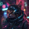 Profilbild von VI7PROGRAMADOR