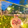 みいちょ🐹 的头像