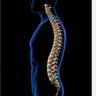 Фото профиля özgürlükSORUMLULUKaldığındaVERİLİR