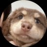 DBTD's profile picture