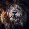 Cho Stacker profil fotoğrafı