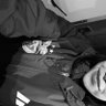 pardal's profile picture
