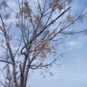 Фото профиля BNJHU2580