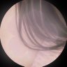 ᦏᦑ⁎⁺⊹🎀Fan∔acc's profile picture