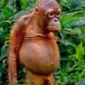Cogy profil fotoğrafı