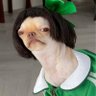 natasha's profile picture