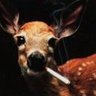 Deer Common profil fotoğrafı