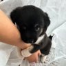 justnmyh_ profil fotoğrafı