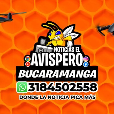 AvisperoCom's profile picture