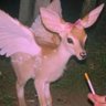 Aɳƚι𓀡's profile picture