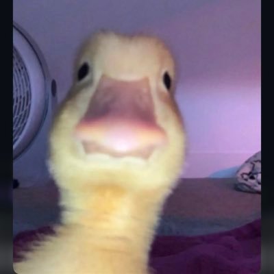 HunniBunni612's profile picture