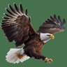 Ainea Ragen profil fotoğrafı