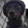 شيكو بانزا profil fotoğrafı