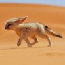 farid ch's profile picture