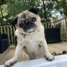 Peter.'s profile picture