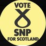Profilbild von Marion Main - #BothVotesSNP