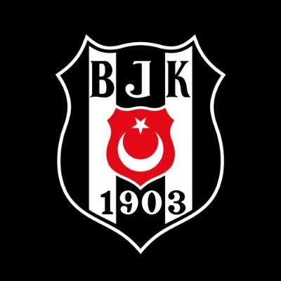 Beşiktaş JK's profile picture
