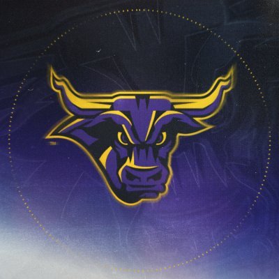 Minnesota State Football's profile picture
