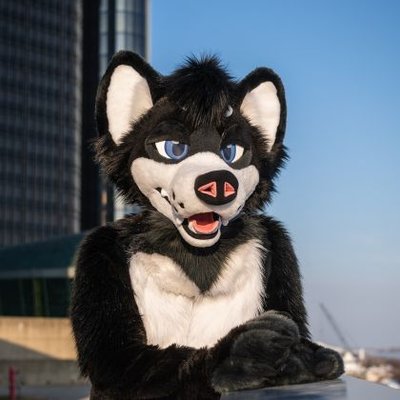 FuskyKial's profile picture