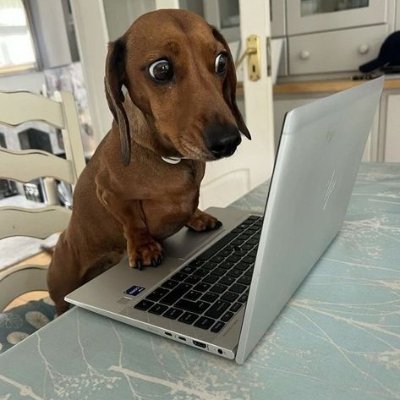 KathleenDi7631's profile picture