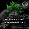 Profilbild von زبیراحمد. Zubair ahmad